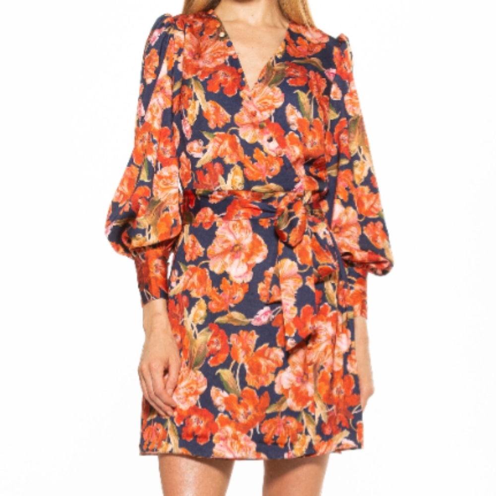 NWT Bubble Sleeve Wrap Dress